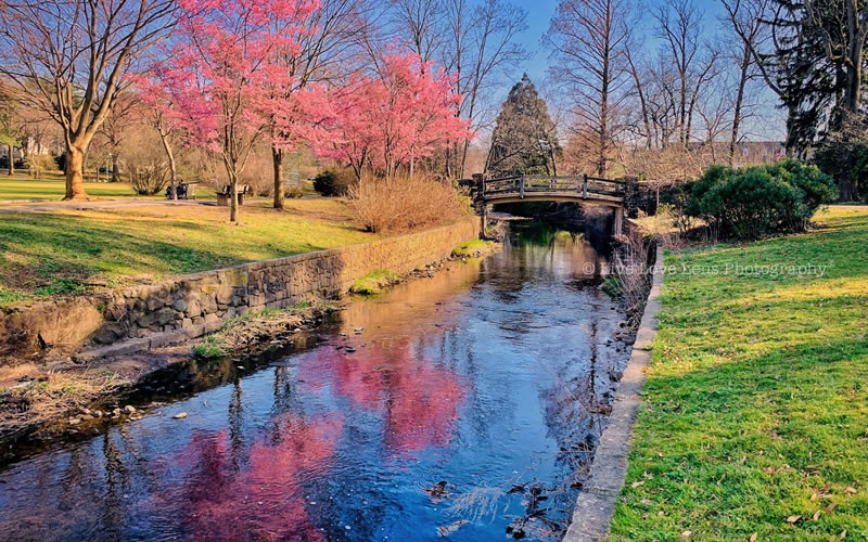 Memorial Park in Maplewood